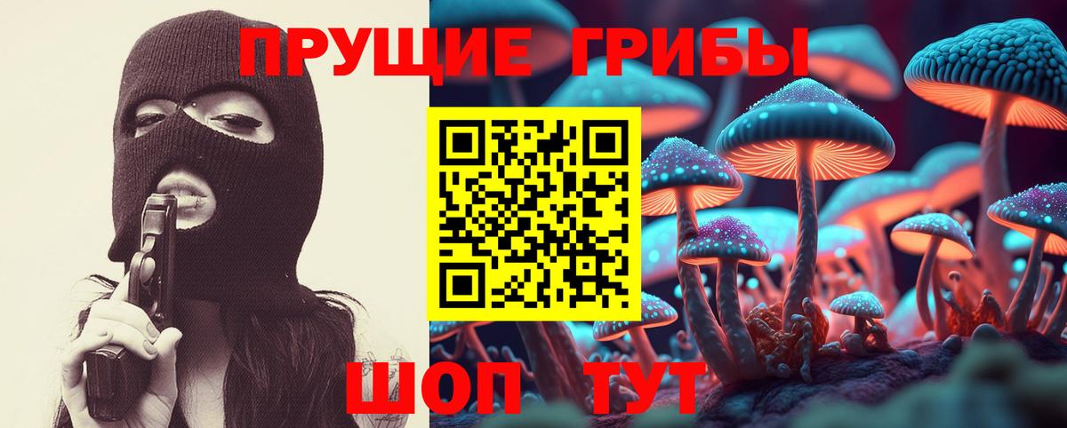 Галлюциногенные грибы мицелий Керчь